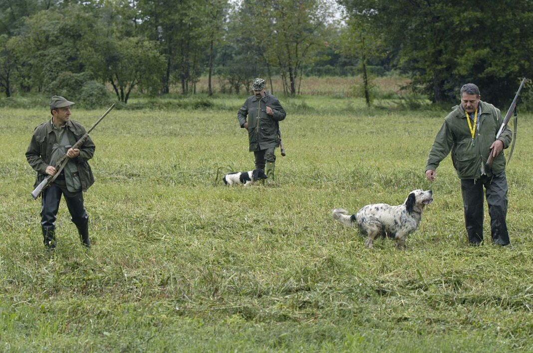 Un momento di una battuta di caccia