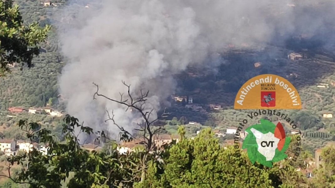 Fiamme di bosco a Massa e Cozzile, insidiate anche le case (foto Aib Toscana)