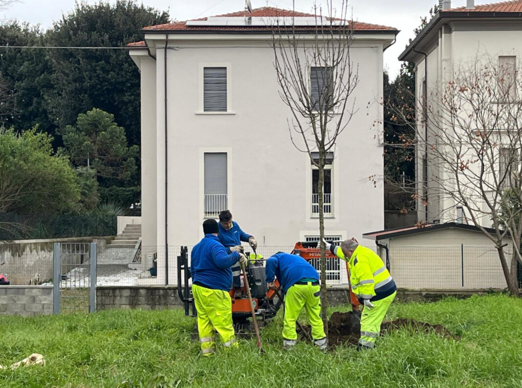 piantumazione alberi via del pelago