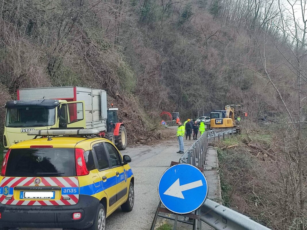 Disagi per i lavori sulla Statale 12, Niccolai (Pd): 