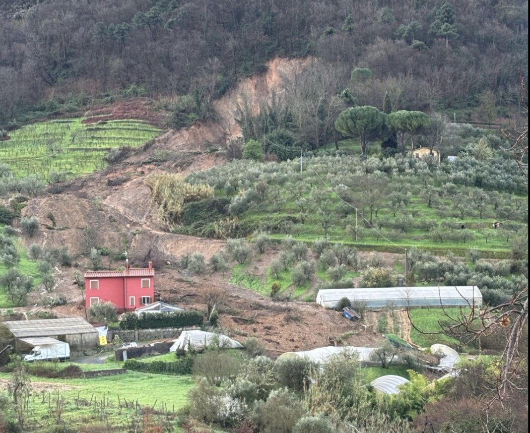 Maltempo, vivaio spazzato via sulle colline di Quarrata