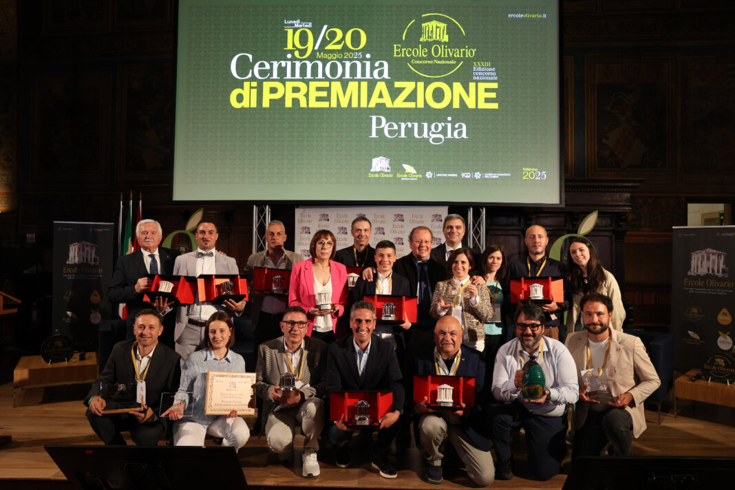 Un olio di Massa e Cozzile fra i migliori d'Italia al premio Ercole Olivario