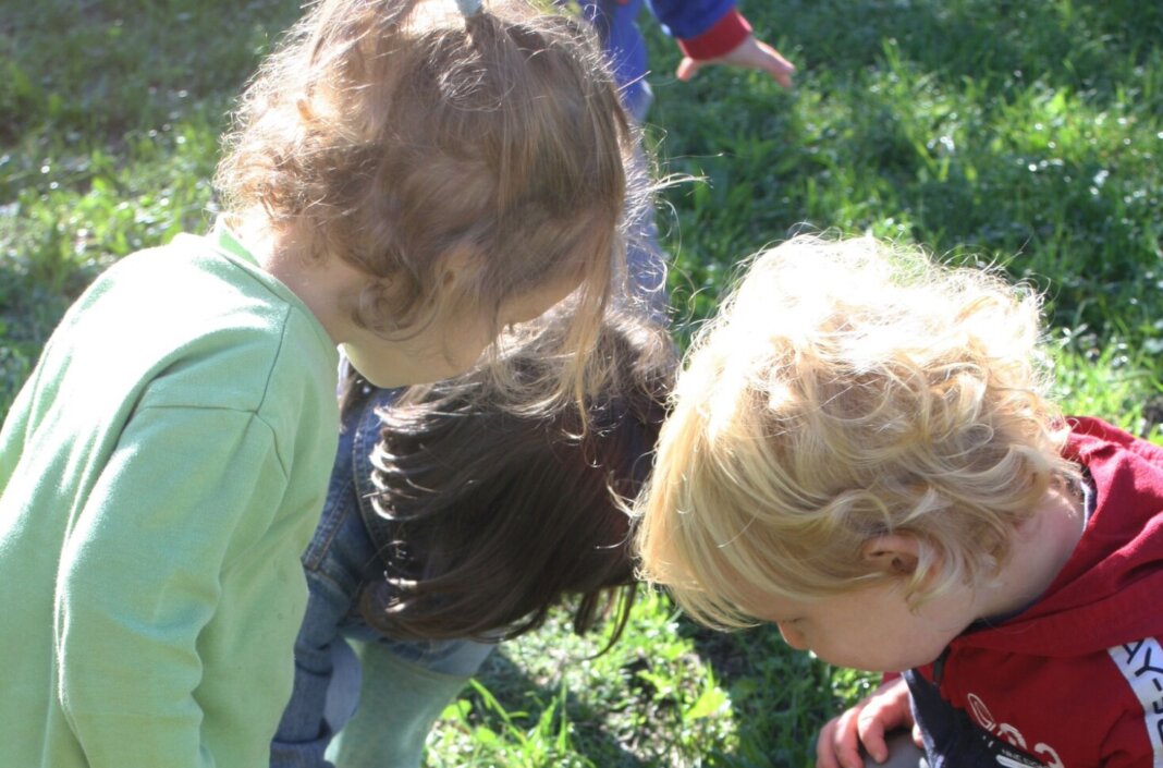 bambini