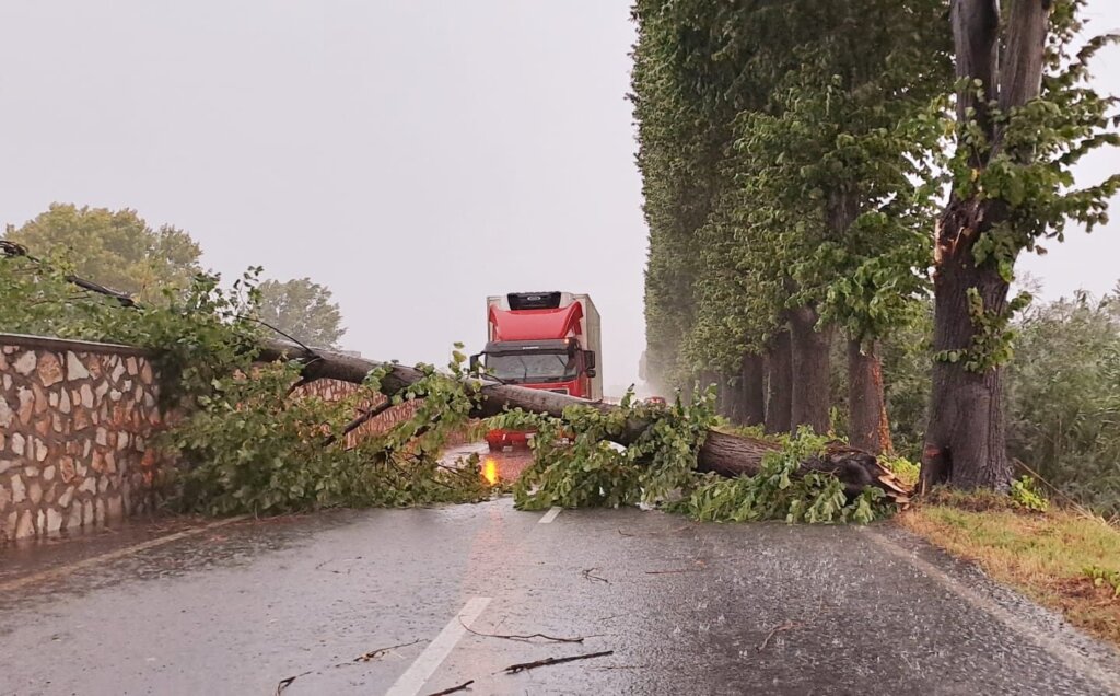 Allagamenti, disagi e alberi caduti: il maltempo d’agosto picchia forte in Toscana