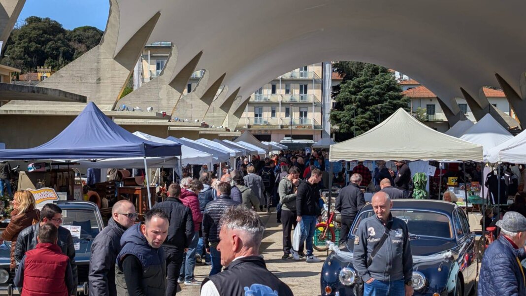 toscana auto collection mercato dei fiori pescia