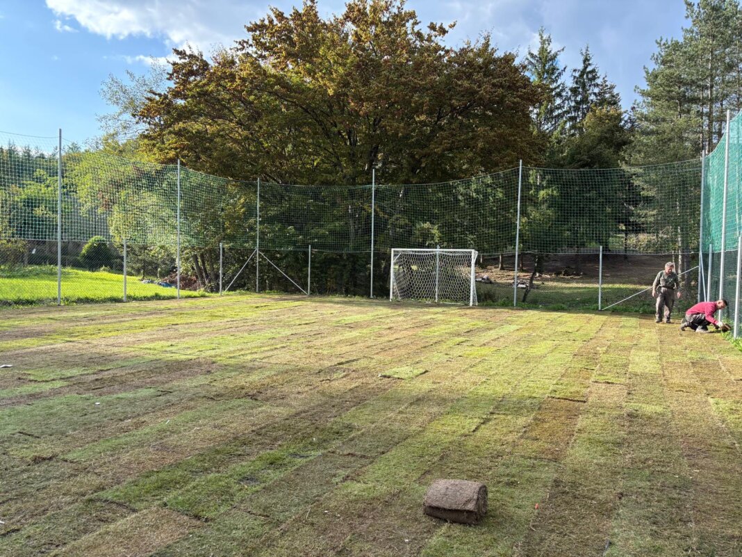 Un altro parco in città, il manto erboso contina a vivere e diventa verde diffuso