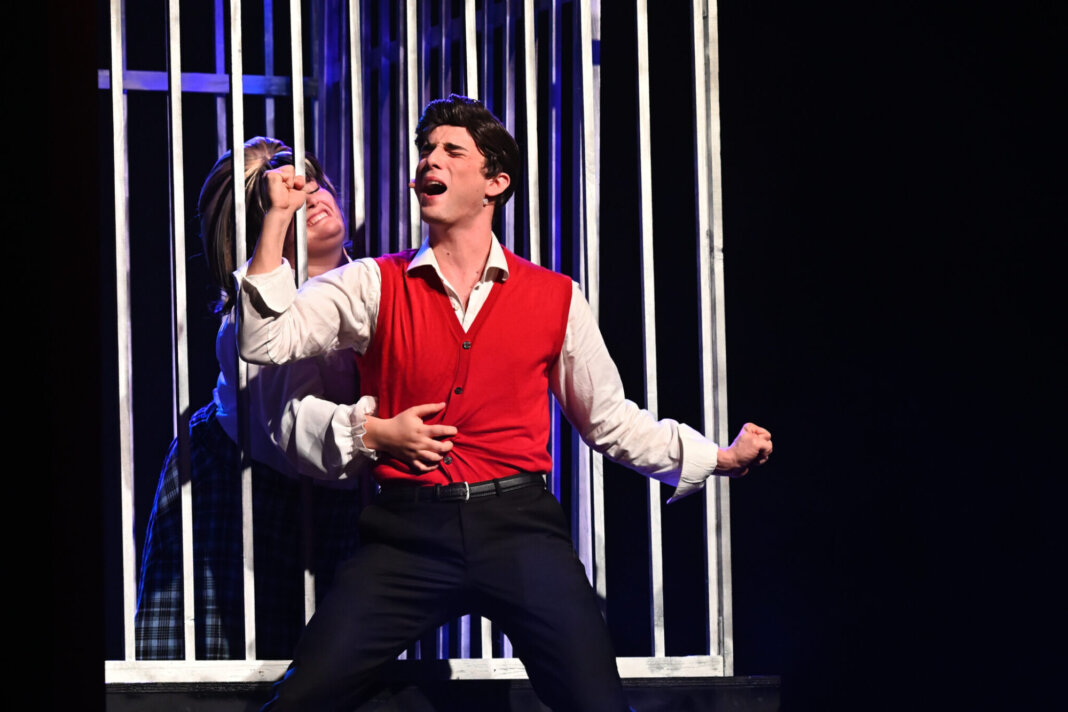 Il musical Hairspray da Broadway arriva al teatro Verdi di Pistoia
