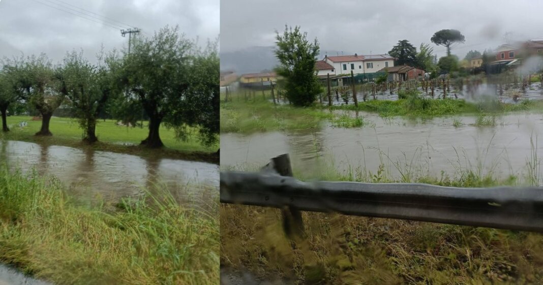 Maltempo a Pescia, scuolabus sospesi e strade allagat