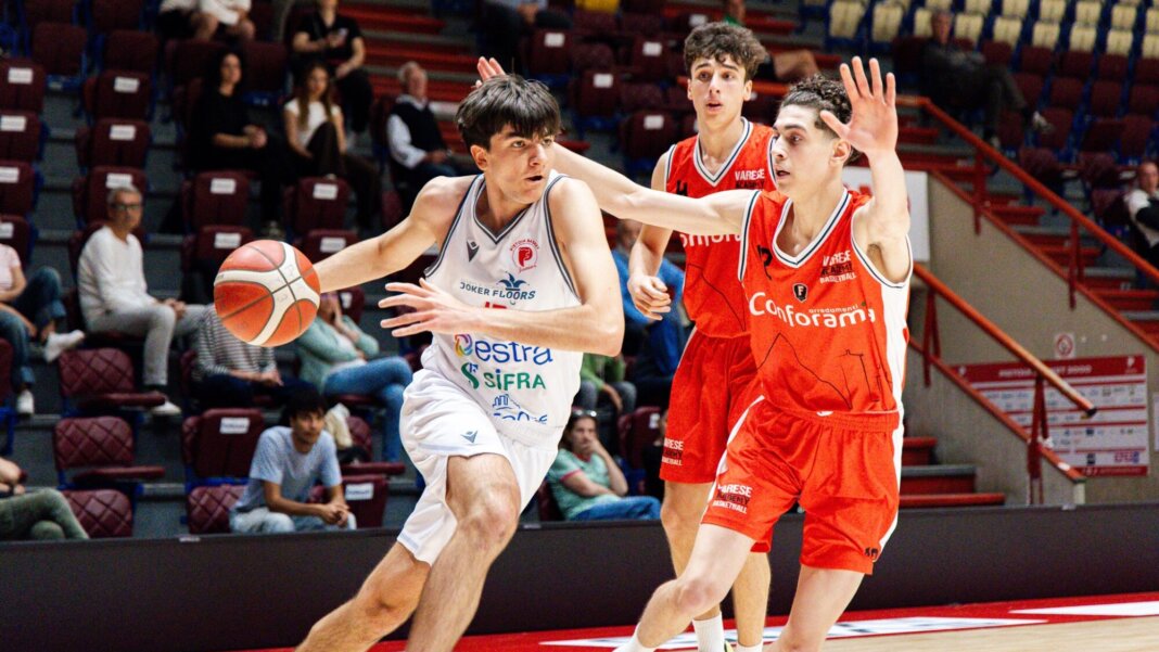 Pistoia Basket Junior
